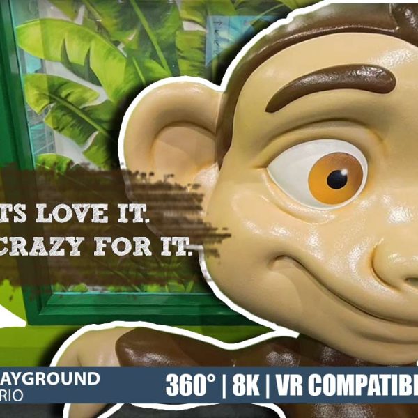 Lil’ Monkeys Playground