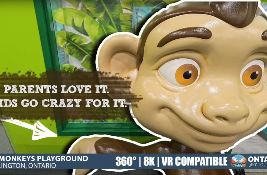 Lil’ Monkeys Playground